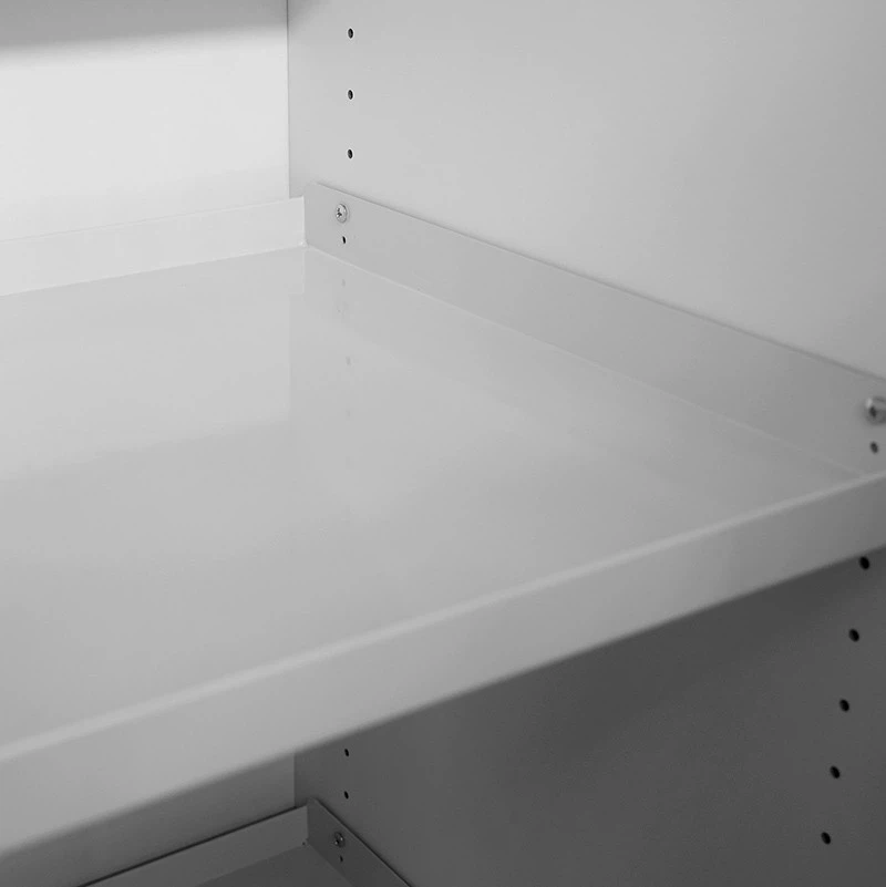 SYSBEL EN Fire-Resistant Combination Safety Storage Cabinet suppliers